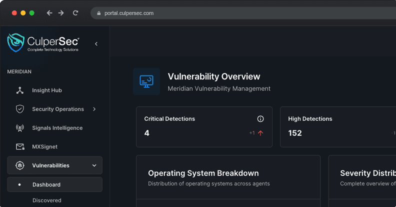 Meridian Vulnerability Management Dashboard